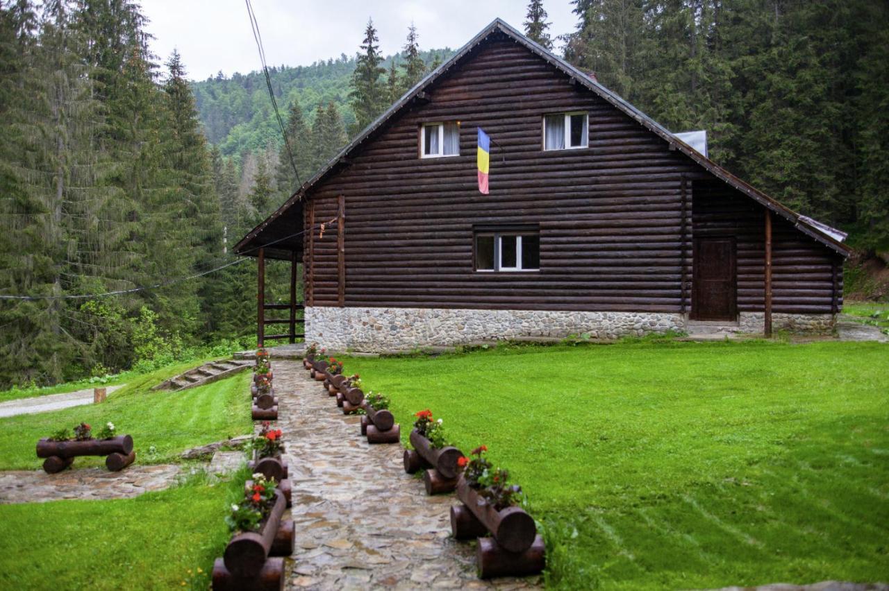Cabana Patru Brazi Biharfüred Kültér fotó