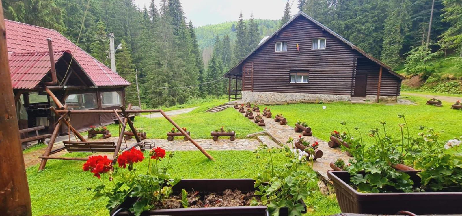 Cabana Patru Brazi Biharfüred Kültér fotó