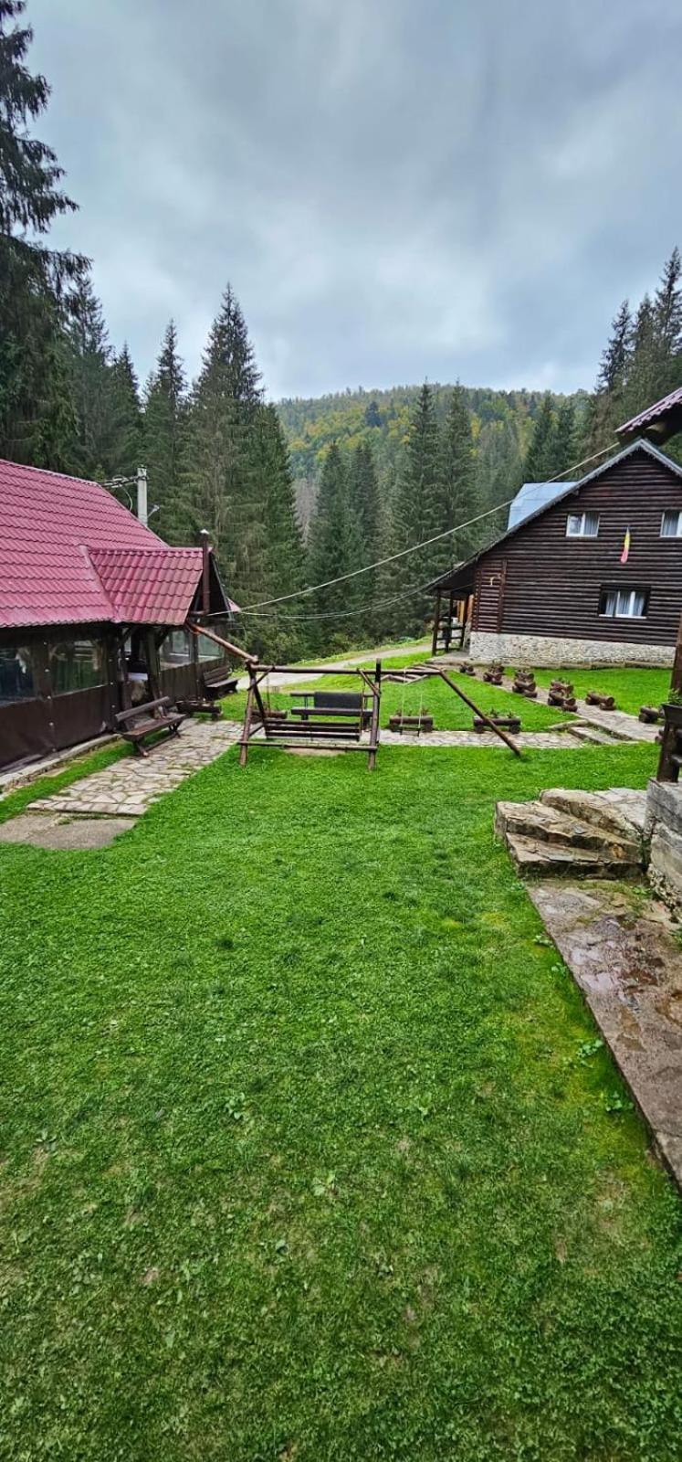 Cabana Patru Brazi Biharfüred Kültér fotó