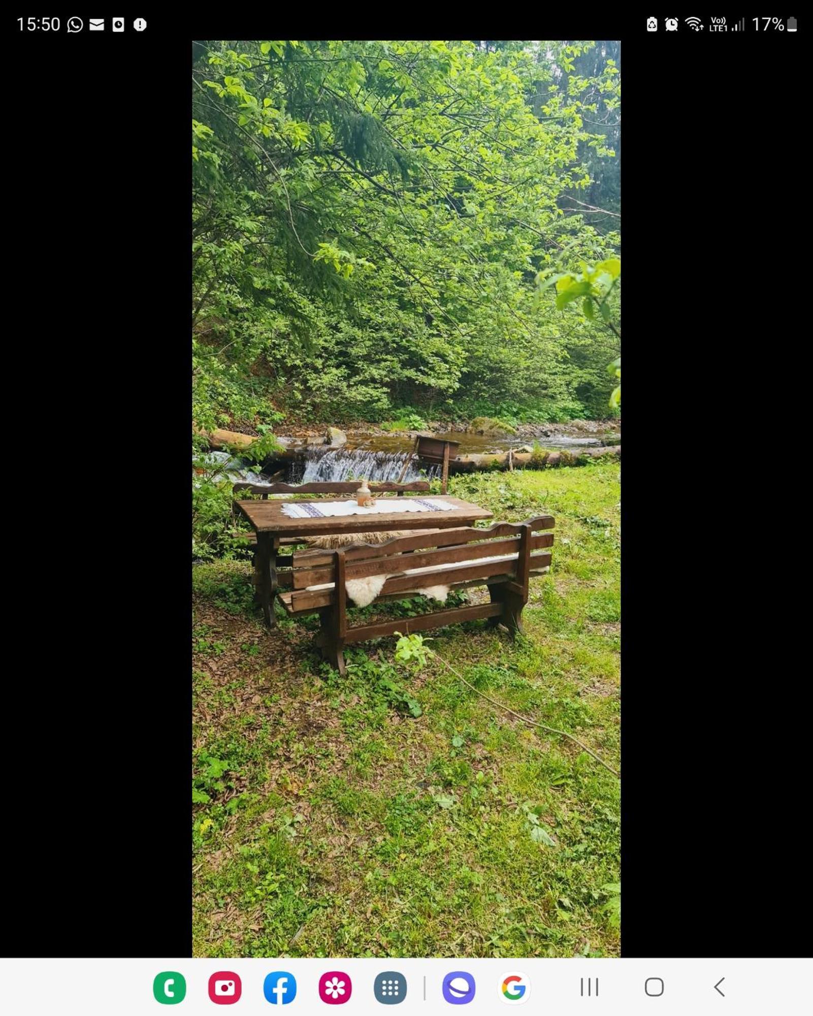 Cabana Patru Brazi Biharfüred Kültér fotó